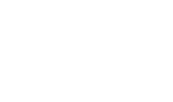 Le Nouvel Ordre Jedi